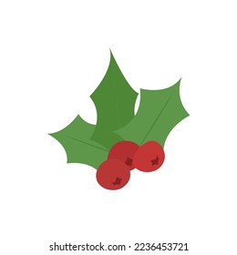 Colas de rosas, bayas rojas con hojas afiladas. Ilustración de Navidad y Año Nuevo para decoración, publicidad, impresiones, decoración. Ilustración vectorial para web