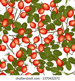 Rose hips seamless pattern on white background. Dog-rose ripe red fruits. Vector illustration