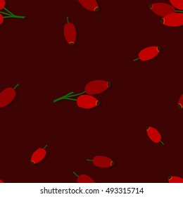 Rose hips - vector background