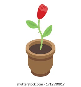 Rose houseplant icon. Isometric of rose houseplant vector icon for web design isolated on white background