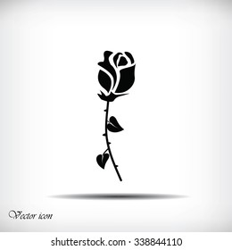 rose icon