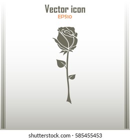rose icon