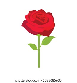 Rose icon. Rose Art Beautiful red Rose Illustration.