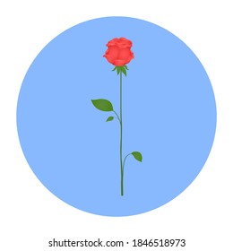 Rose icon. Flower symbol. Vector.