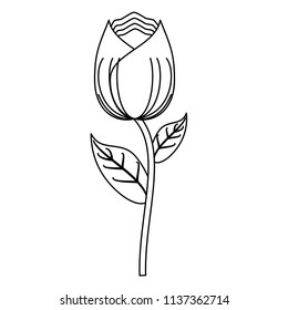 rose icon image