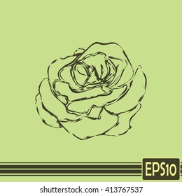 rose icon. Line icon
