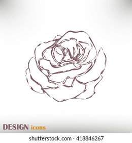 rose icon Line icon