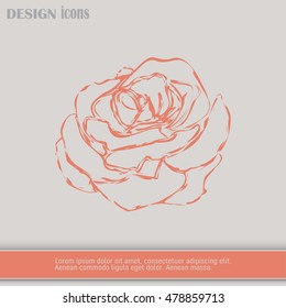 rose icon Line icon