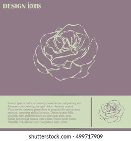 rose icon Line icon