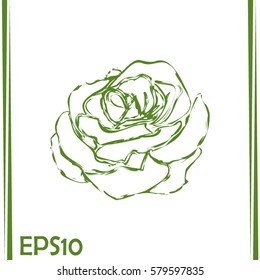 rose icon Line icon