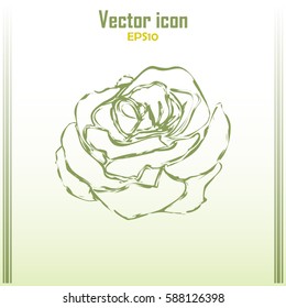 rose icon Line icon