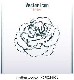 rose icon Line icon