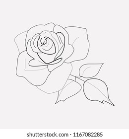 Rose icon line element. Vector illustration of rose icon line isolated on clean background for your web mobile app logo design.