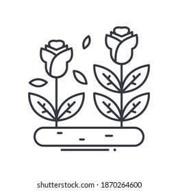Icono de rosa, ilustración lineal aislada, vector de línea delgada, signo de diseño web, símbolo de concepto de contorno con trazo editable sobre fondo blanco.