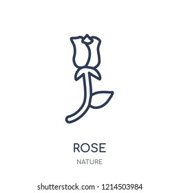 Rose icon. Rose linear symbol design from Nature collection. Simple outline element vector illustration on white background.