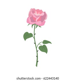 Rose icon on the white background for your design. Vector illustration.