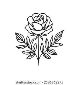 Rose icon, Outline botany, Vector botany thin line illustration on white background,A perfect design for minimalist and detailed floral art.