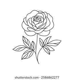 Rose icon, Outline botany, Vector botany thin line illustration on white background,A perfect design for minimalist and detailed floral art.