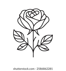 Rose icon, Outline botany, Vector botany thin line illustration on white background,A perfect design for minimalist and detailed floral art.