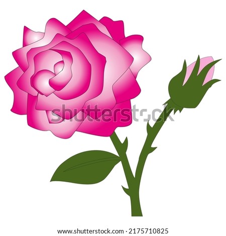rose icon simple design pink color