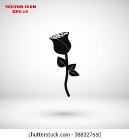 rose icon vector