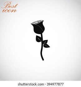 rose icon vector
