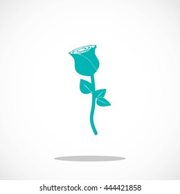 rose icon vector