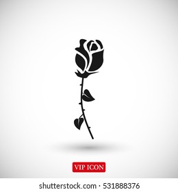 rose icon, vector best flat icon, EPS