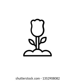 Rose Icon Vector Illustration in Line Style for Any Purpose