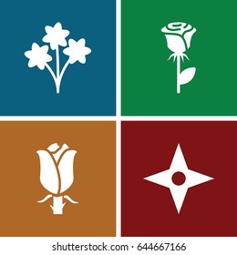 Rose icons set. set of 4 rose filled icons such as rose, compass