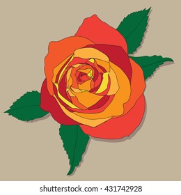 Rose Illustration