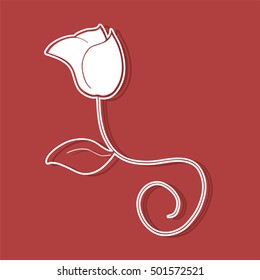 rose illustration