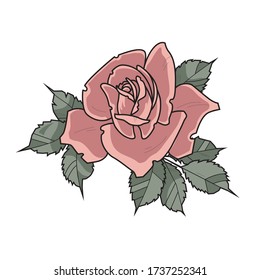 Ilustración rosa, gráfico simple, 
flor vectorial