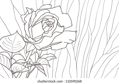 Rose isolated on white background, vector striped drawing