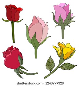 Rose isolated on white background. Red flower. Design for invitation, wedding or greeting cards. Wedding decorations. Decorative bridal bouquet. Birthday. Collection. Vector illustration. Backdrop.