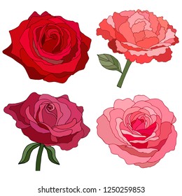 Rose isolated on white background. Red flower. Design for invitation, wedding or greeting cards. Wedding decorations. Decorative bridal bouquet. Birthday. Collection. Vector illustration. Backdrop.