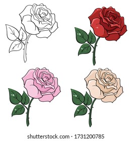 
Rose isolated on a white background, vector illustration