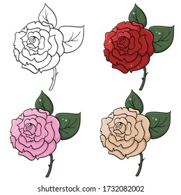 Rose isolated on a white background, vector illustration