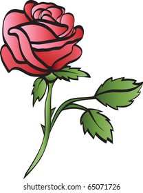 rose isolated on white background