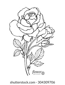 Rose isolated. Vector. Hand drawn artwork. Love concept for wedding invitations, cards, tickets, congratulations, branding, boutique logo, label. Gift for young girl and women. Black and white