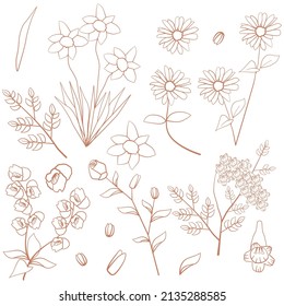 Rose Jacaranda Daisy Daffodils Orchid Flower Floral Leaf Outline Decoration Element