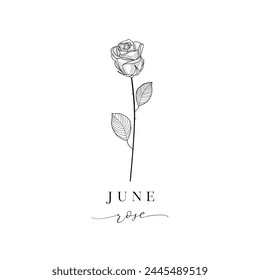 Rose, June Birth Flower. Hand drawn birth flowers, Vector Graphics. Floral Decorative Design Element. Mother’s Day, Birth Announcement, Baby Gift, T-shirt design, Print.