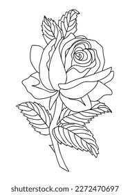 Rose June birth month flower line art.