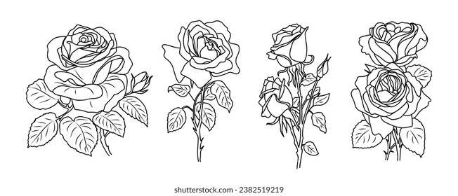 Rose June Birth month flower vector set isolated. 