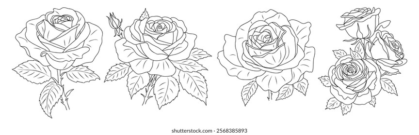 Rose June Birth month flower line art vector illustrations set isolated on white background. Modern minimalist design for logo, tattoo, wall art, poster, packaging, stickers. Black ink sketch.