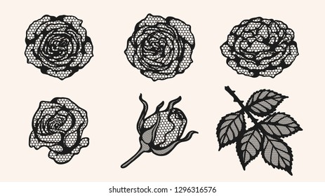 
Rose lace ornament vector by hand drawing.Beautiful flower on brown background.Sunset memory rose vector art highly detailed in line art style.Flower tattoo for paint or pattern. 