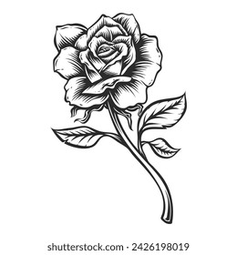 rose with leaf coloring page for adult and kids