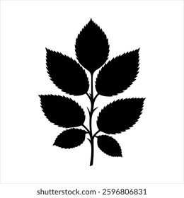 Rose Leaf silhouettes vector illustration