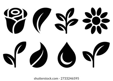 Rose leaf sprout water drop flower leaves plant