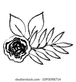 rose and leafs decorative icon